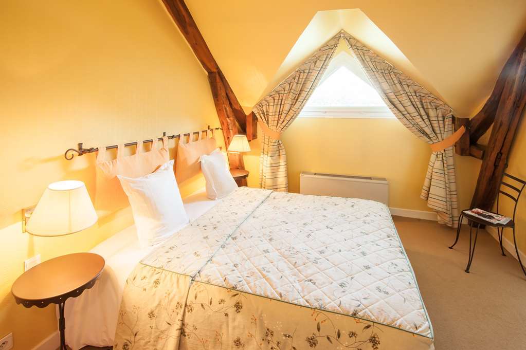 Logis Domaine De Valaudran Hotel Salbris Cameră foto